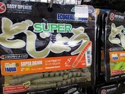 SUPERどじょうS