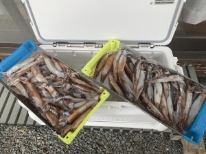 お客様釣果情報　イカメタル