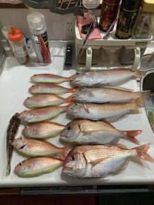 【横濱西口5番街店】スタッフ釣果情報！