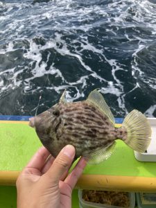 【TB横濱西口５番街店】スタッフ釣果情報！
