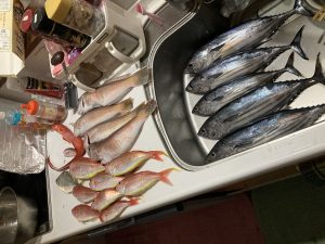【横濱西口5番街店】スタッフ釣果情報！