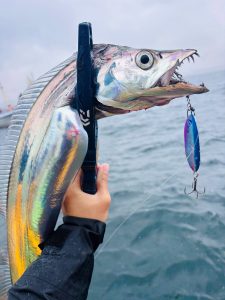 【釣果情報】★爆釣★東京湾タチウオジギング!!