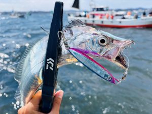 【釣果情報】東京湾タチウオジギング(≧▽≦)
