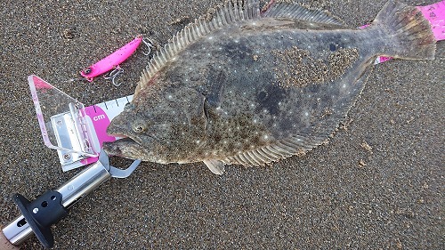 鹿島灘サーフ釣果報告 鹿嶋店 Kashima
