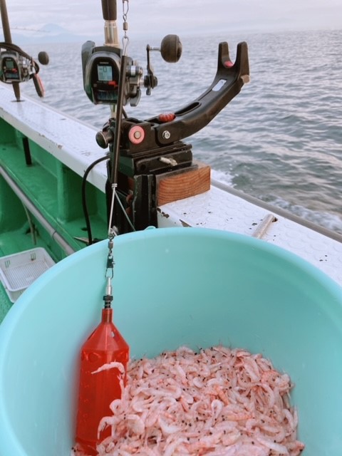 ついに By 瀬戸 麻楡 21ベリーガールズのハートベリー日記ブログ タックルベリー