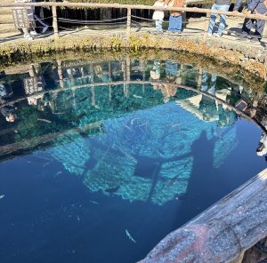 奈々です！山梨県の忍野八海に行ってきました🗻
