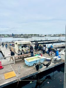 ⭐︎那波青です⭐︎海上釣り堀チャレンジ＆週刊つりニュース掲載！