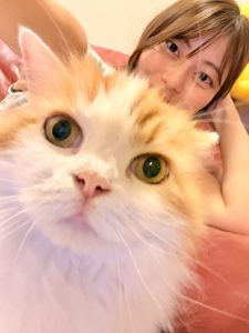 実家のマロンちゃん🐈🤎