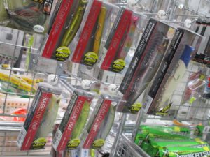 【習志野店】カゲロウ入荷情報！！