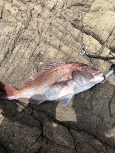沖磯釣行