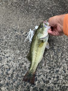 ベリーカップ釣行など・・・