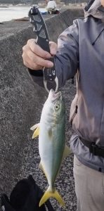 波津漁港 LSJ釣行