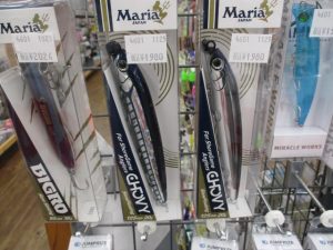 秋のヒラスズキシーズン開幕!