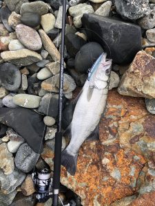 地磯探検隊パート2