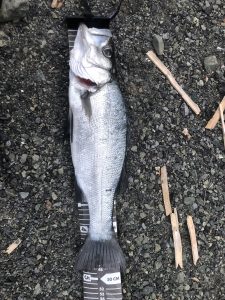 Y氏遂に念願の、、、