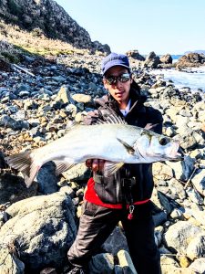 秋爆のヒラスズキ釣行