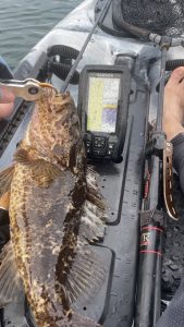 やっぱり釣れる！釣果