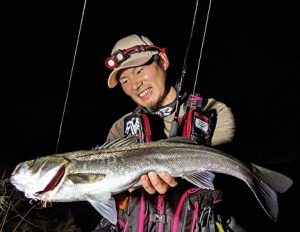 河川釣果です