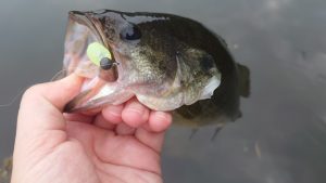 管釣り大遠征釣行！