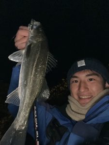 最近の楽しみ