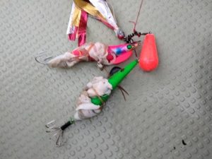 久々の船はタコ🐙