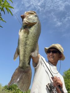 魚系ワームが大活躍♪