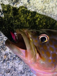 日本海へ【調査】