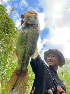 寄り道で