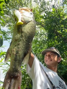 ヴィヴィダスフィッシュ!