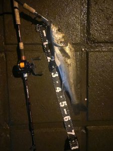 砂押川でボイル祭り