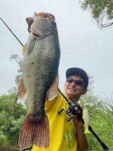 ヴィヴィダスで太い５０アップ！