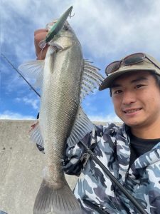 隙間時間でシーバス♪