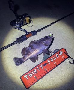 ライトゲームデビューのbrother