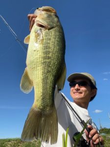 ミドストで釣れた