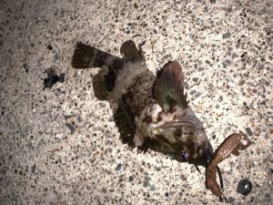 吉と出るか凶と出るかの場所移動🚙