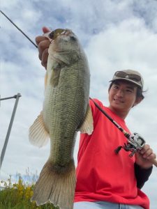 ちょっと前のカスミ