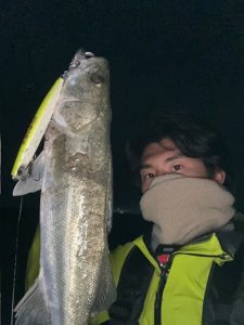 シーバスも結構います