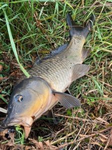 バス、だと思ったぁ…