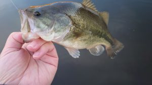 2025釣り納め釣行！