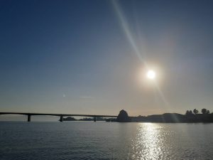 2025恒例の思い出(魚)5選