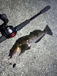 明けましておめでとうございます！