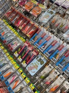 ツツイカシーズン突入！