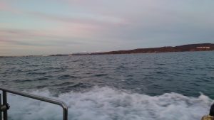 初のカットウ釣行！