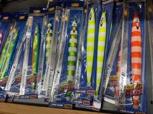 タラジギの季節です！