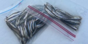 雪が舞うワカサギドーム船