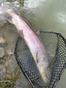 はじめまして！多賀城中央店に仲間入りしました！