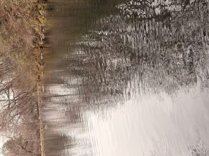 ３/３蔵王フォレストスプリングスでの釣果