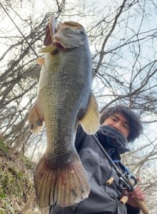 春といえばのジャークベイト！