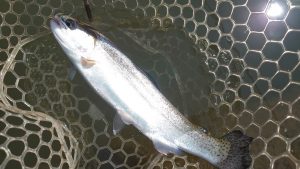 久々の群馬遠征★