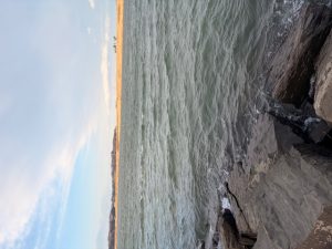 3／19鳴瀬川河口釣果